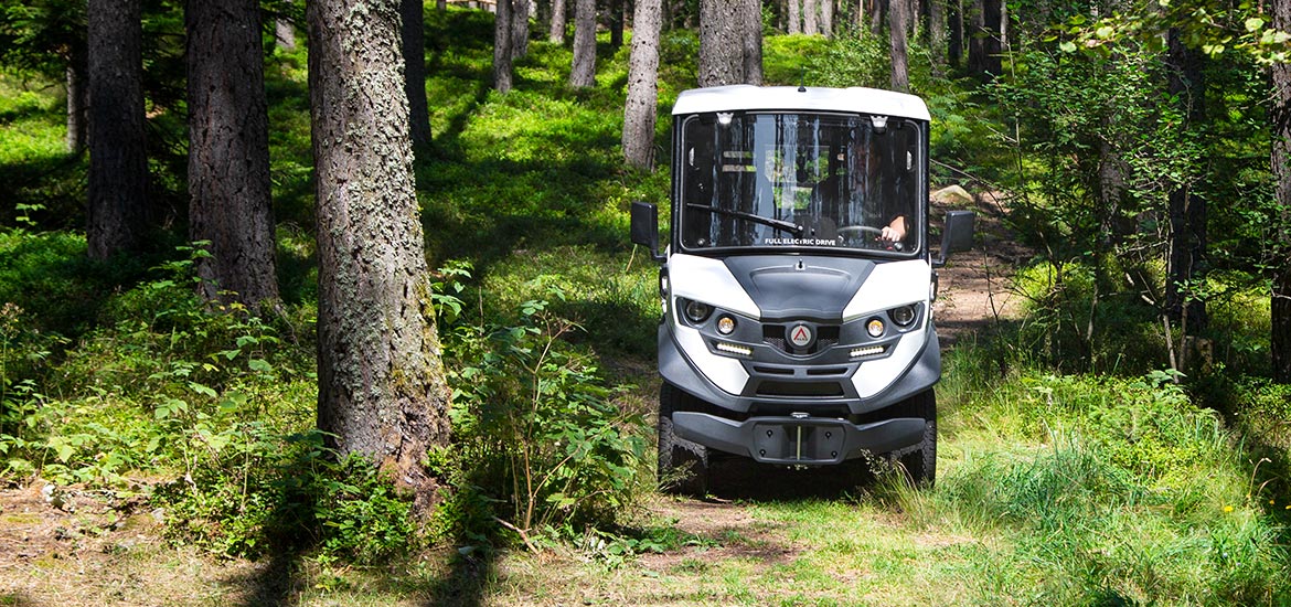 4x2 electric off-road vehicles