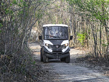 Vehicle on mountain path