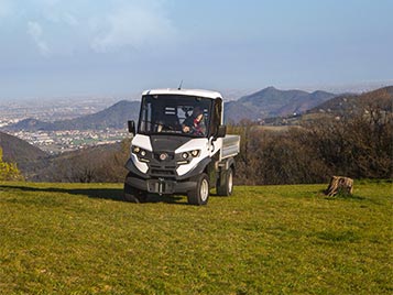 Offroad utility vehicles